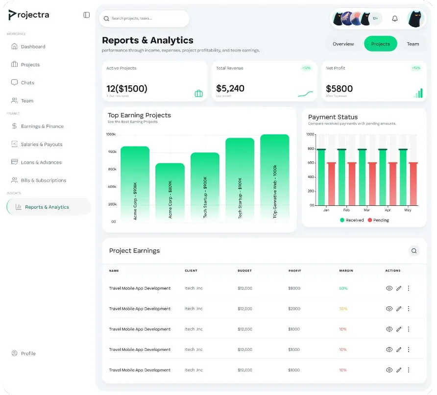 Reports & Analytics Projects tab with earnings table